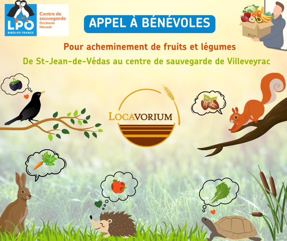 Acheminement de dons de nourritures pour le centre de sauvegarde de la faune sauvage à Villeveyrac